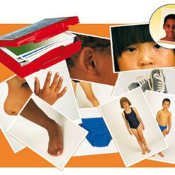 Maletín con fotografías del cuerpo y prendas de vestir