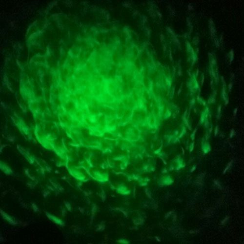 Proyector LED efecto agua y nube - Imagen 2