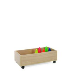 Carro bajo de almacenaje