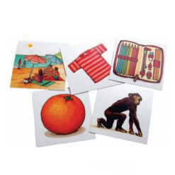 Vocabulario ilustrado