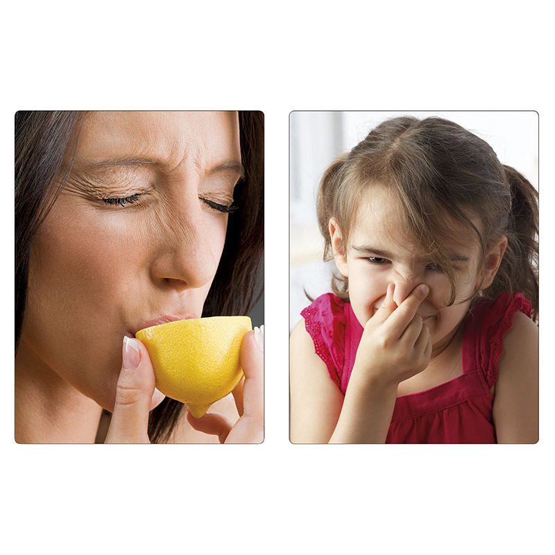 Juego de los sentidos - Imagen 3