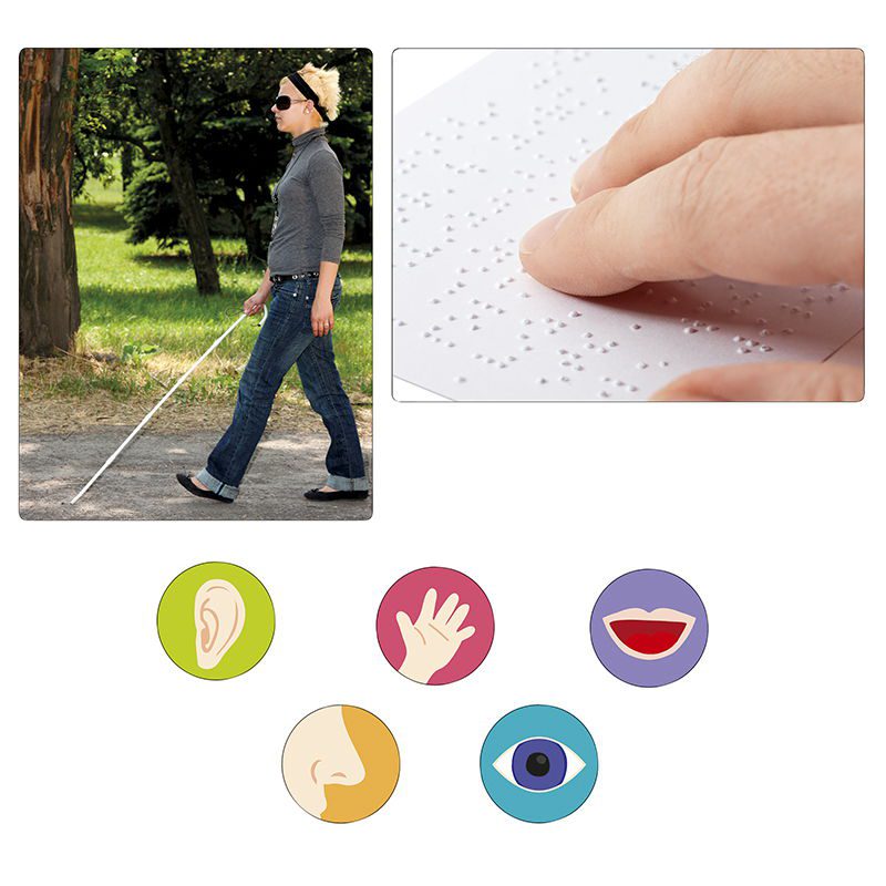 Juego de los sentidos - Imagen 2